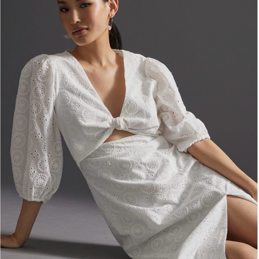 Anthropologie Ivory Floral Embroidered Dress